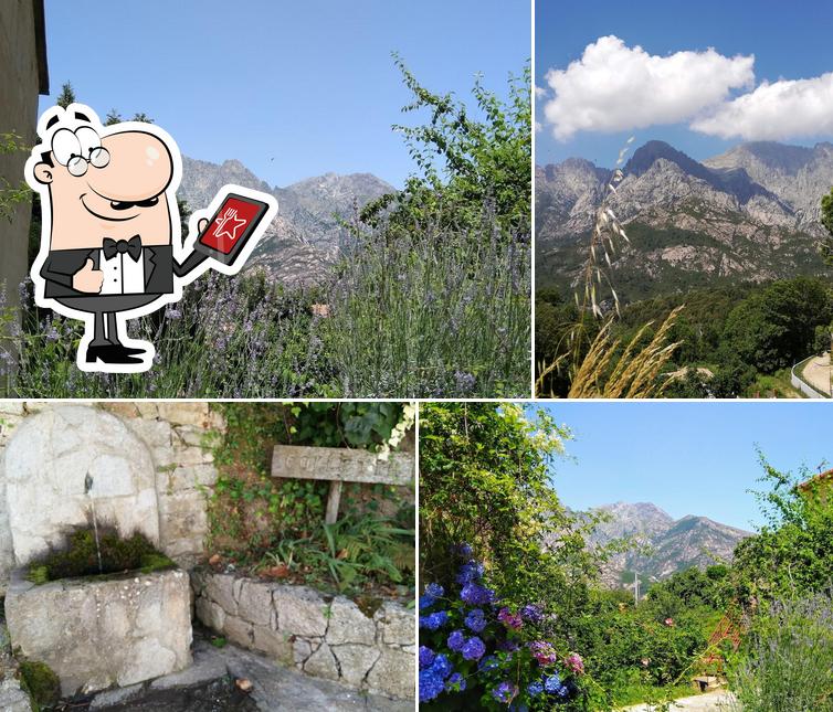 Snack Pizzeria A Funtanella Colletta Bocognano