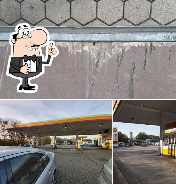 Shell Bedburg Preisenull