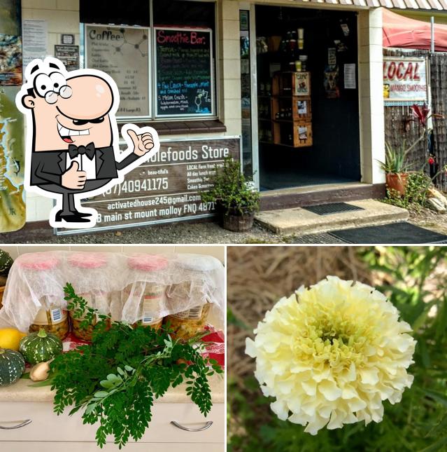 Mt Molloy Coffee Shop in Mount Molloy Restaurant reviews