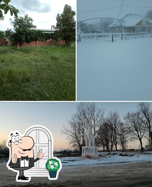 Bar "Orion"