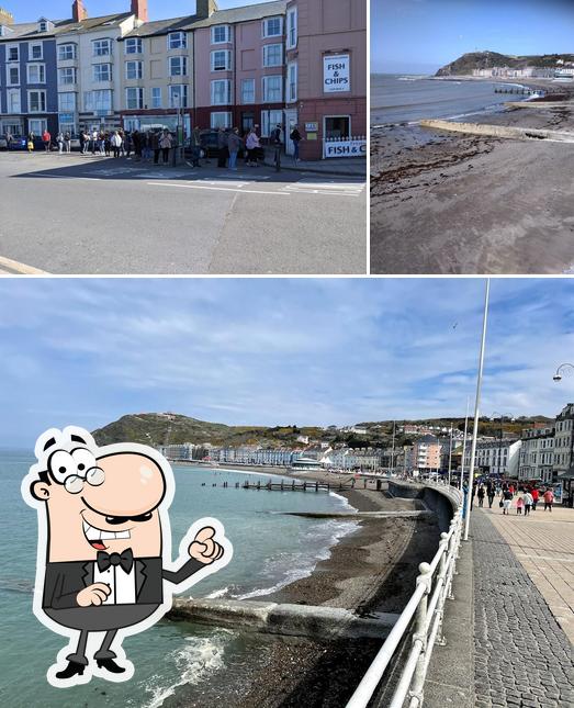 The Chip Box 4 in Aberystwyth Restaurant menu and reviews
