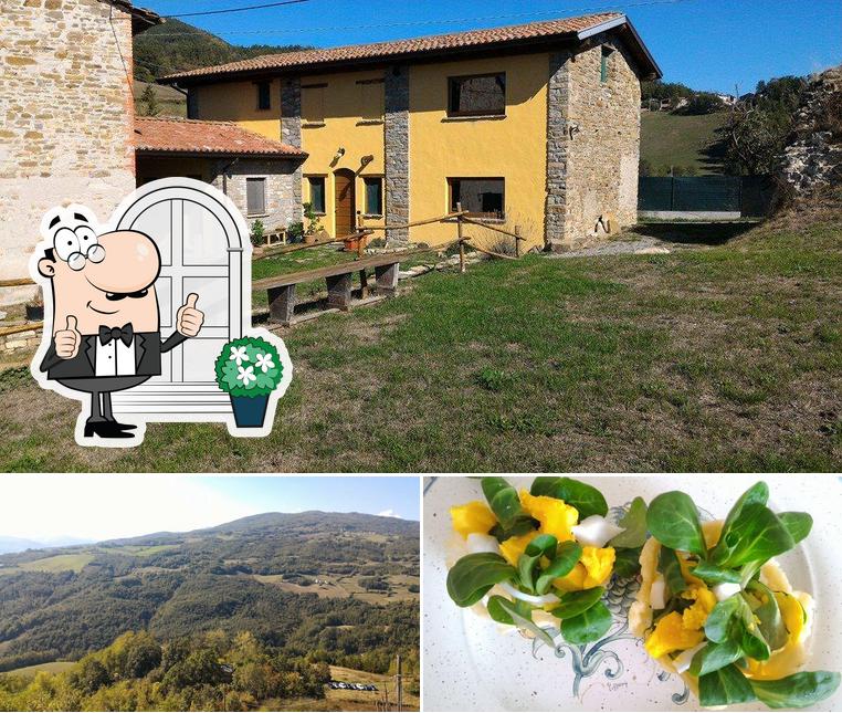 Agriturismo La Fattoria si caratterizza per la esterno e cibo