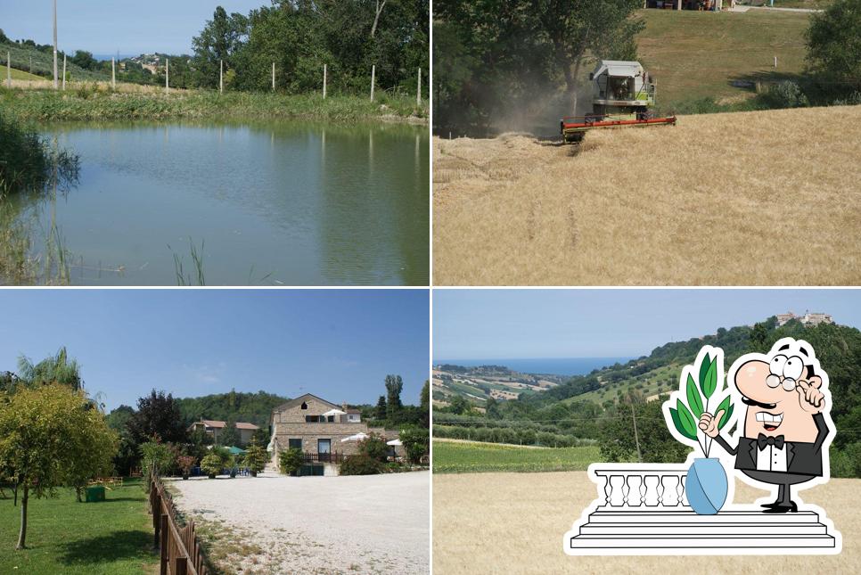 Gli esterni di Agriturismo Il Rustico