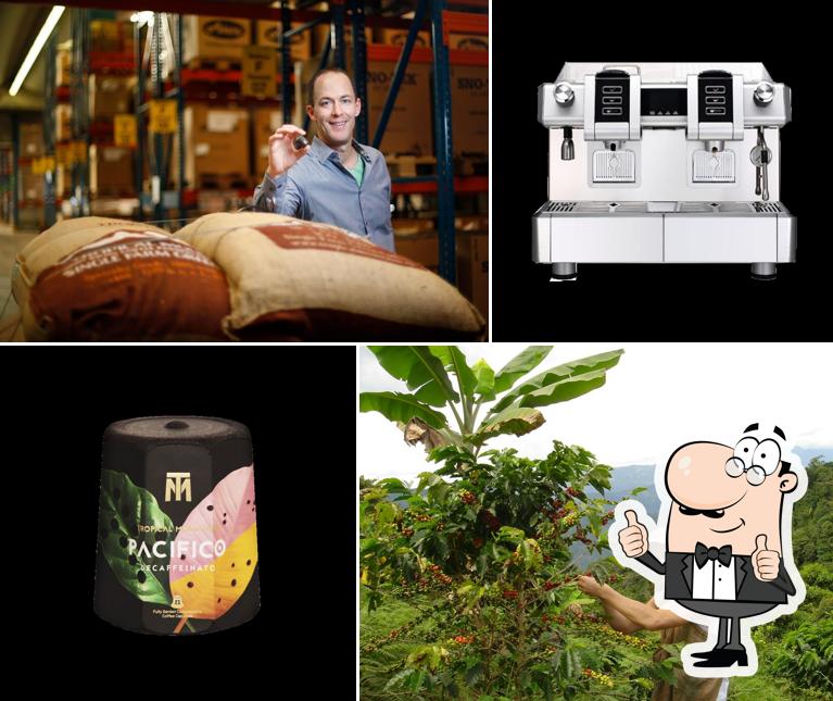 Tropical Mountains GmbH