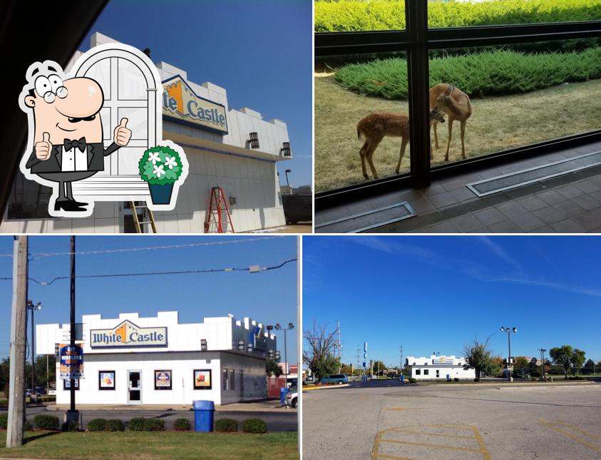 White Castle, 840 W North Ave in Melrose Park - Restaurant menu and reviews