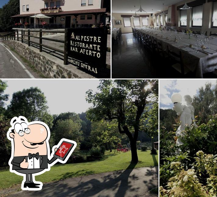 Questa è la foto che raffigura la esterno e interni di Albergo Alpestre Valdagno