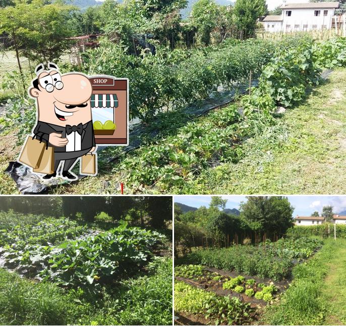 Gli esterni di Trattoria Pian de Farrò