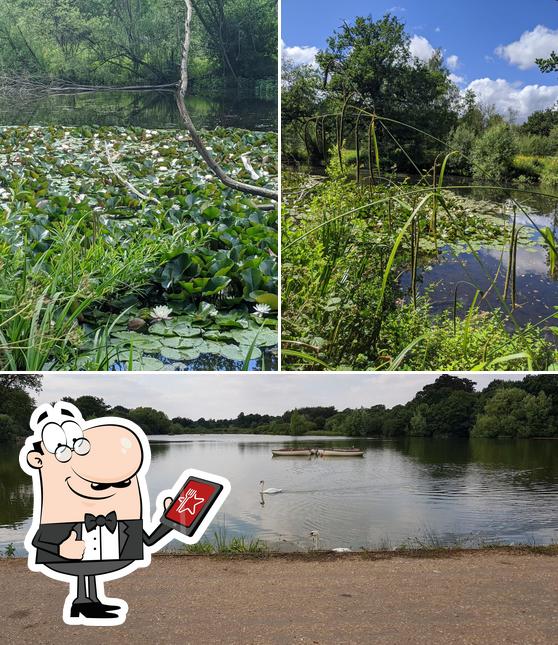 The exterior of Hatfield Forest