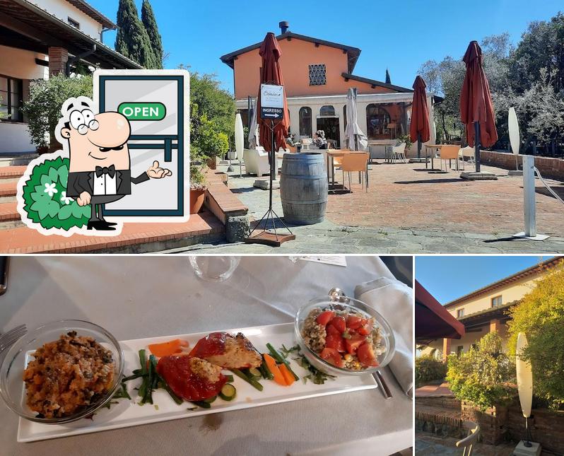 Las imágenes de exterior y comida en Saladier Vinci Trattoria Dell'Ortolano