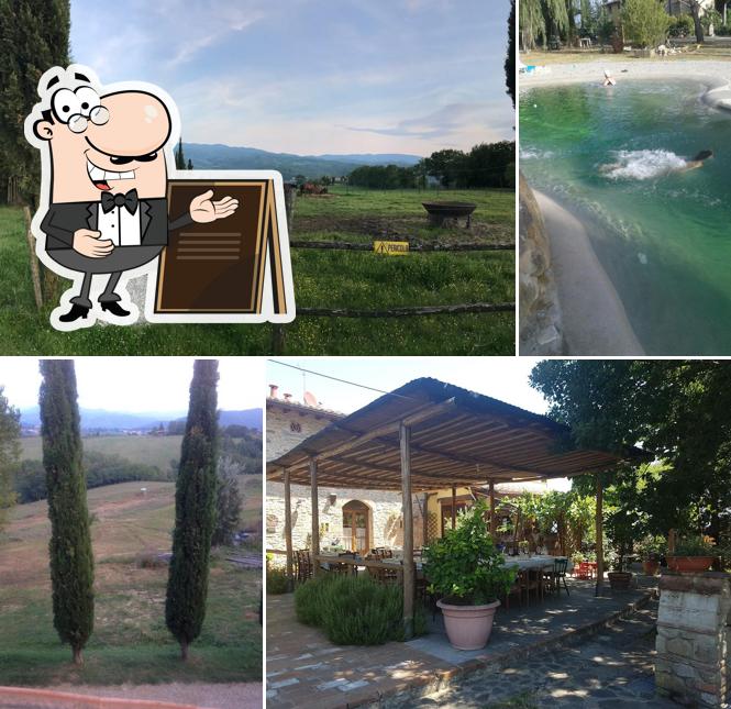 Agriturismo La Colombaia /Azienda Agricola Biologica