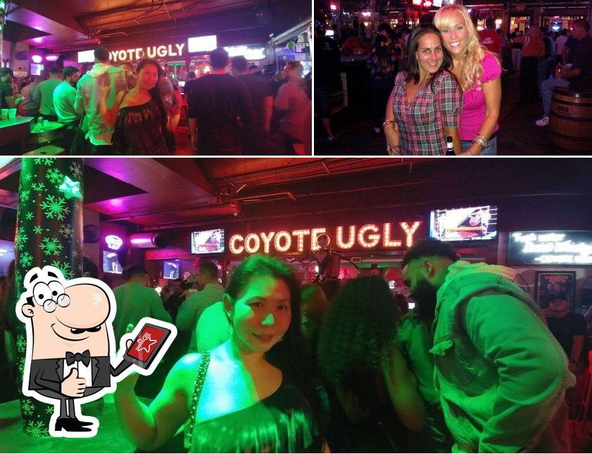 Coyote Ugly Saloon in Tampa - Restaurant reviews