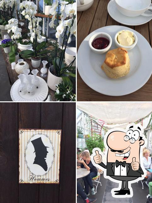 Das Café in der Gartenakademie cafe, Berlin - Restaurantbewertungen