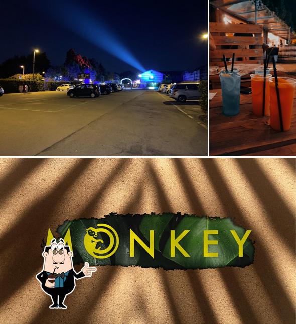 Goditi qualcosa da bere a Monkey Jungle Bar