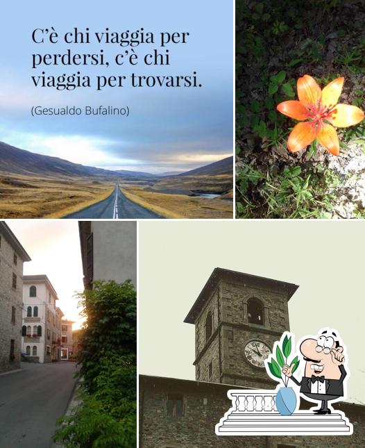 Il Baffo Arzillo