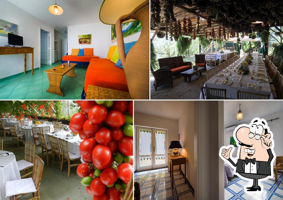 Agriturismo Restaurant Fattoria Terranova