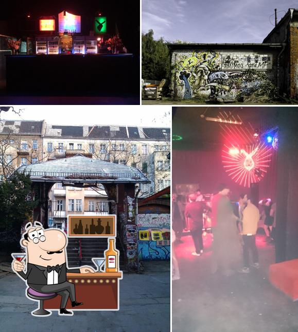 Der Weiße Hase club, Berlin Restaurantbewertungen