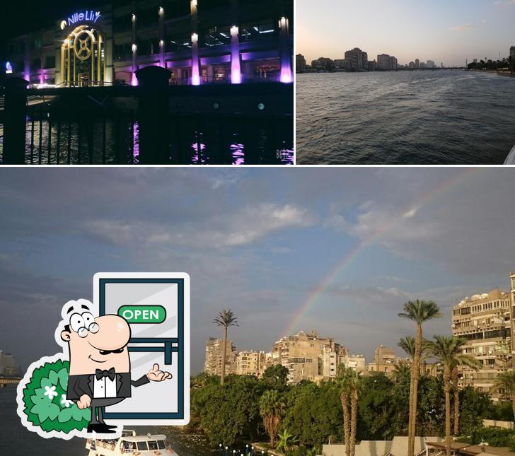 Nile Lily Restaurants, Cairo, 43 المقياس Restaurant reviews