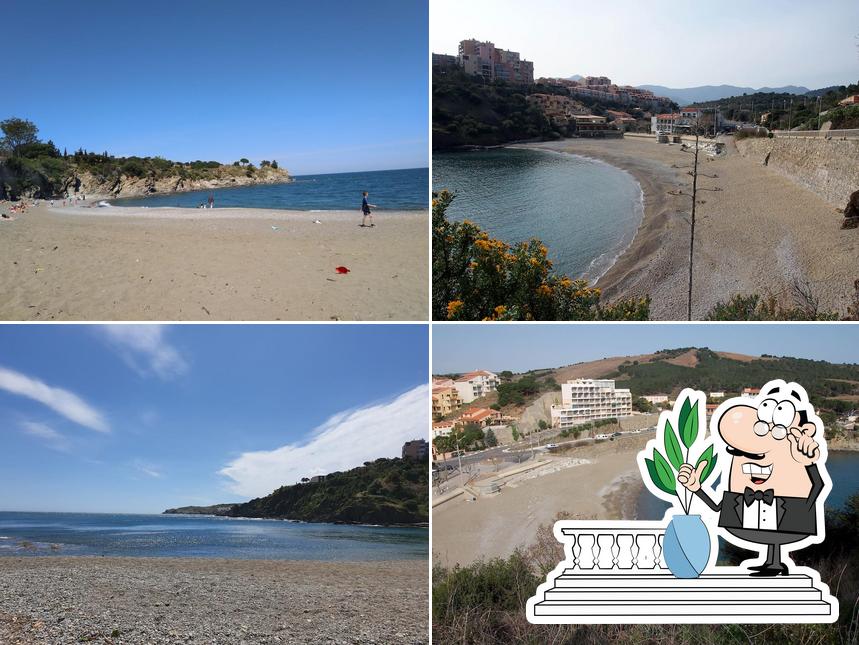 Jetez un coup d’œil à quoi ressemble Snack de Plage Le Sun Elmes Banyuls sur Mer à l'extérieur