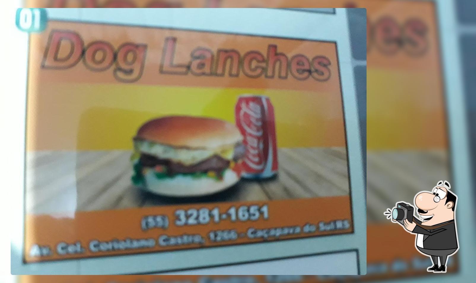 Dog Lanches