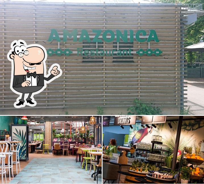 Die Inneneinrichtung von Restaurant Amazonica