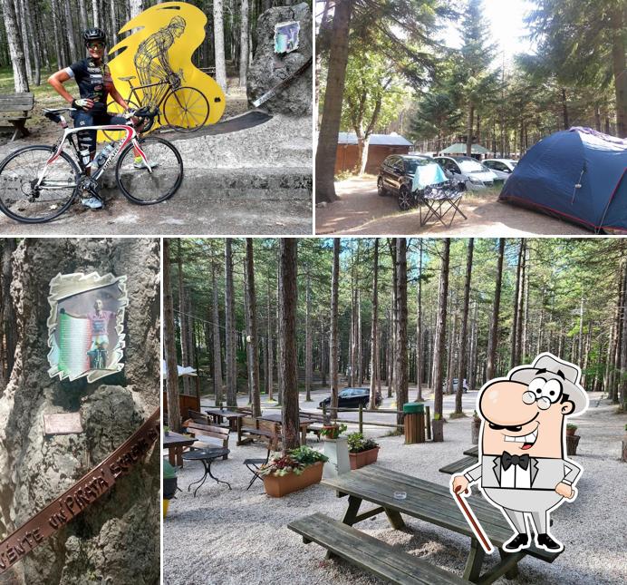 Guarda gli esterni di Camping il Cippo