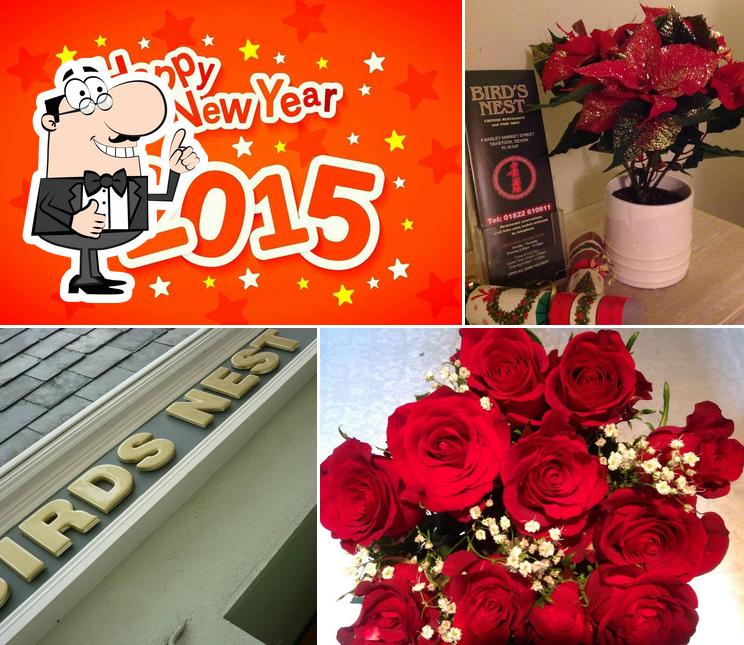 Birds Nest Chinese Restaurant & Take Away Tavistock in Tavistock