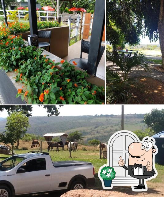 Veja imagens do exterior do Expresso 060