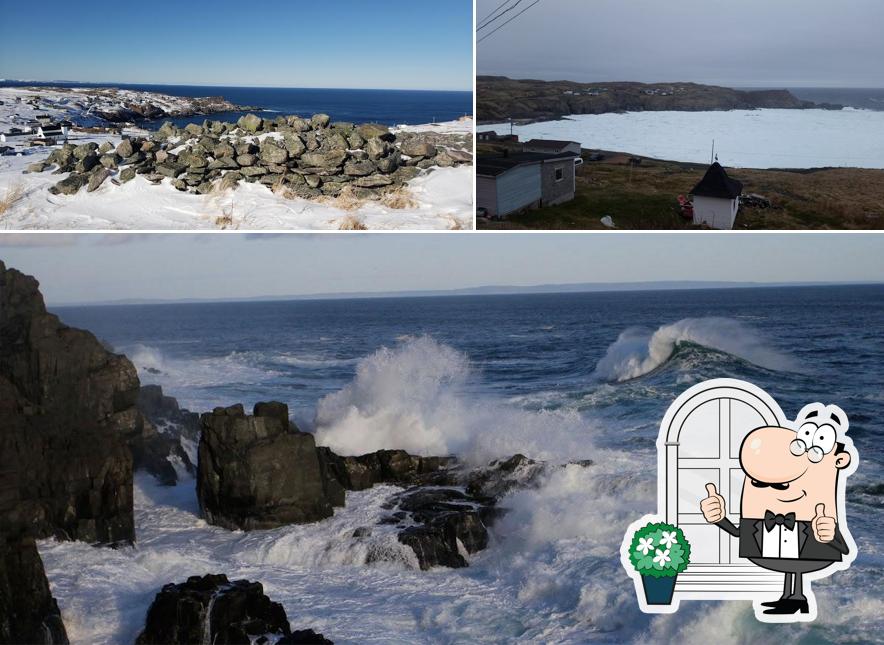 Grates Cove Co. in Grates Cove Restaurant menu and reviews