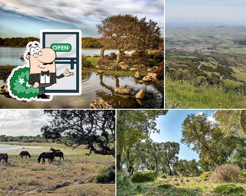 Centro Visite - Punto Ristoro - Parco della Giara