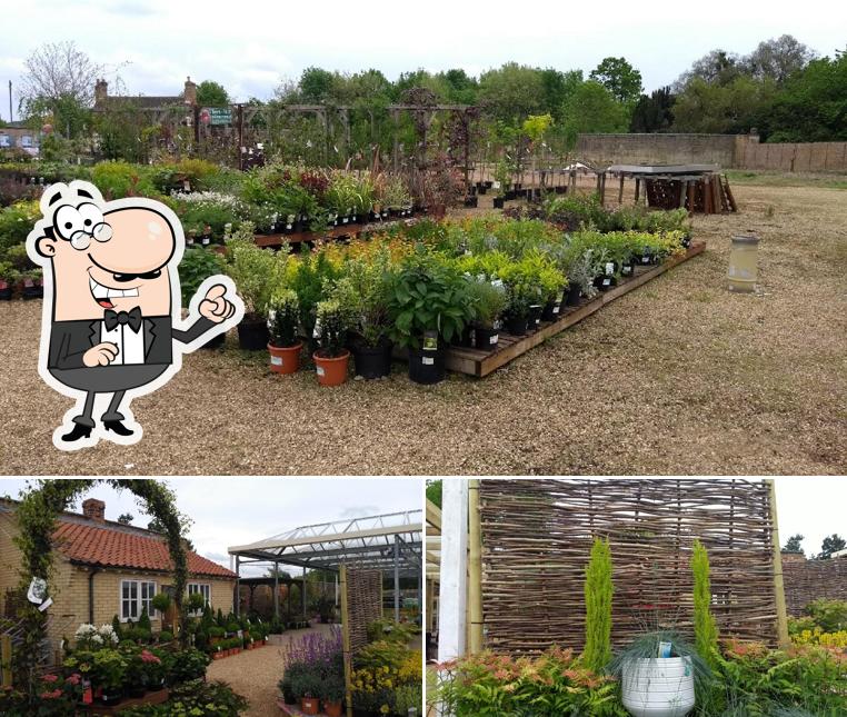 Restaurante Bosworth's Garden Centre at Elton, Elton Opiniones del