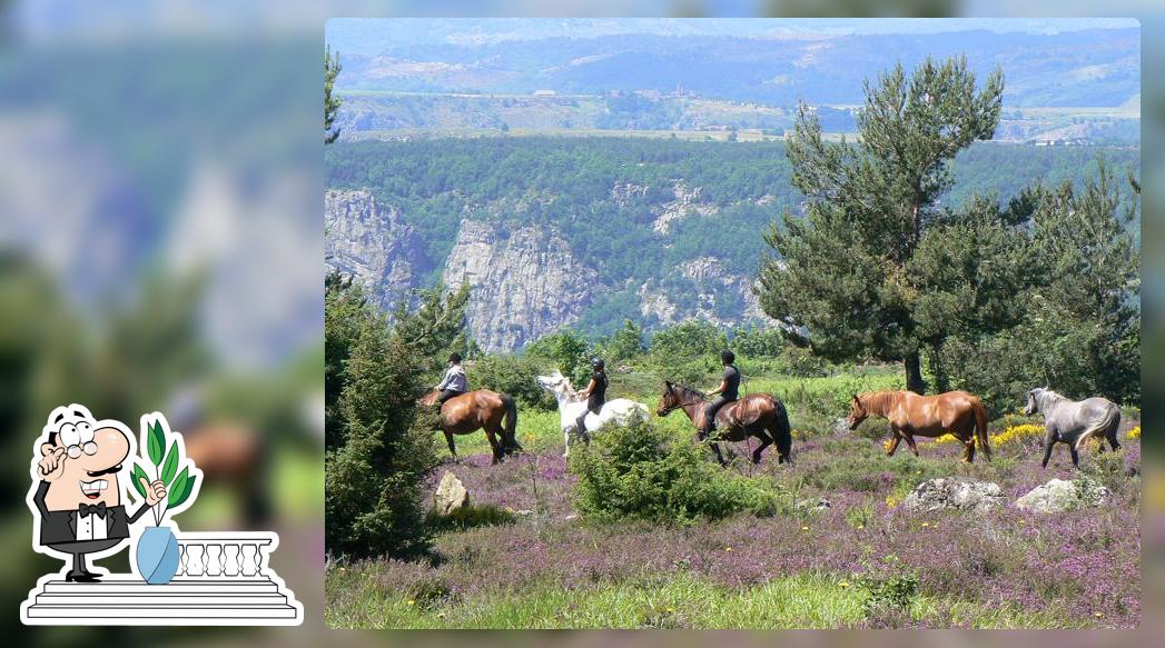 Faure Danielle Ballades a cheval