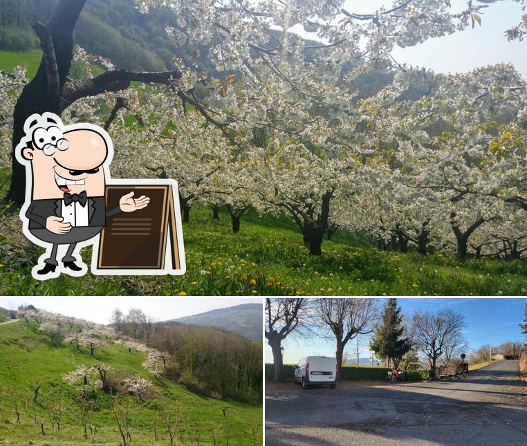 Goditi la vista dagli esterni di Ristorante La Collina