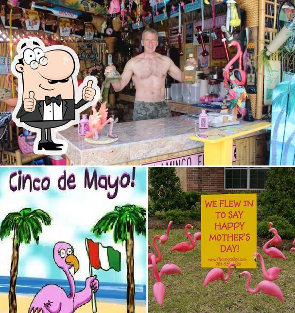 The Pink Flamingo Bar - California in San Ramon - Restaurant reviews