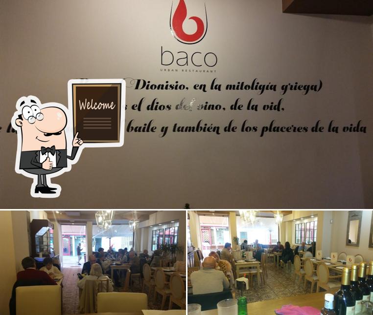 Взгляните на фото ресторана "baco urban restaurant"