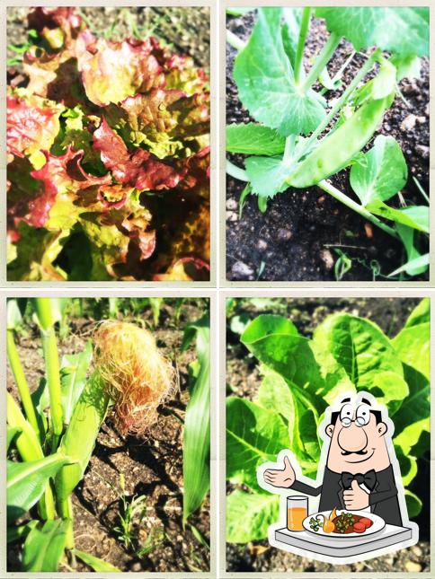 Harmony Ridge Gardens Kleefeld MB