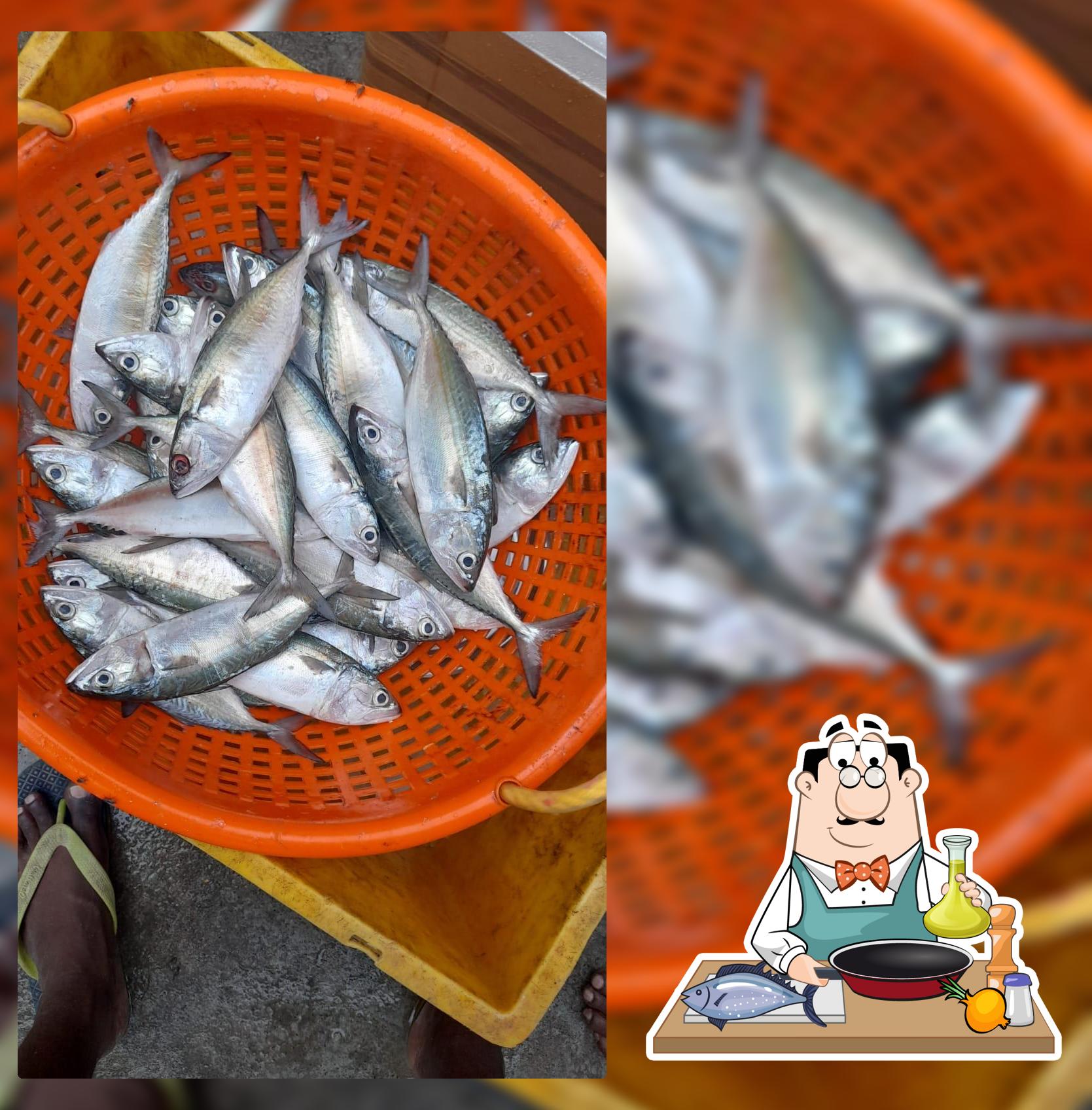 KUTTY DIYA MEENU KADAI