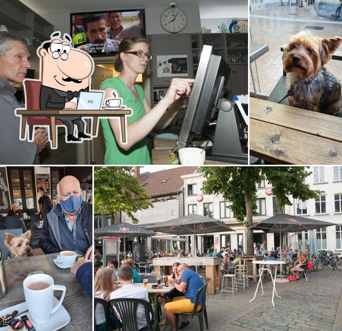 Den Augustijner