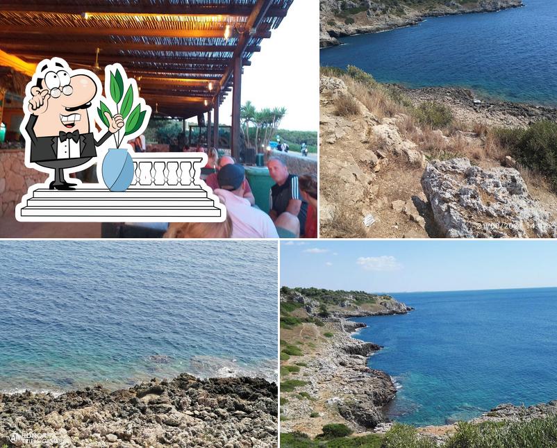 Puoi goderti l'aria fresca dal dehors di Ficodindia