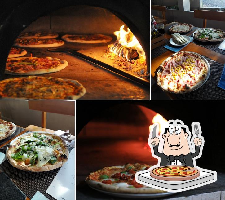 Pizzeria Shark