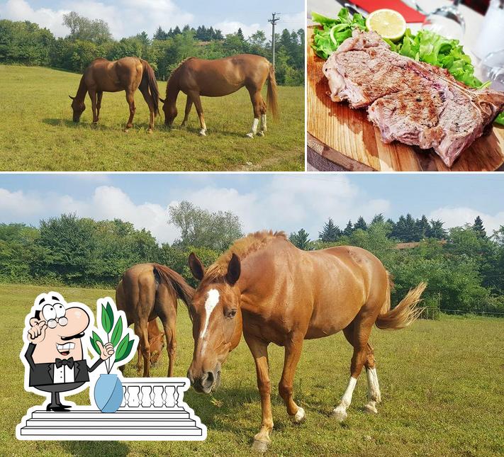 Agriturismo Da Marietto si caratterizza per la esterno e la carne