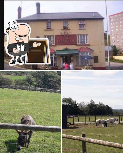 Horseshoe Fish Bar in Pontypool Restaurant reviews