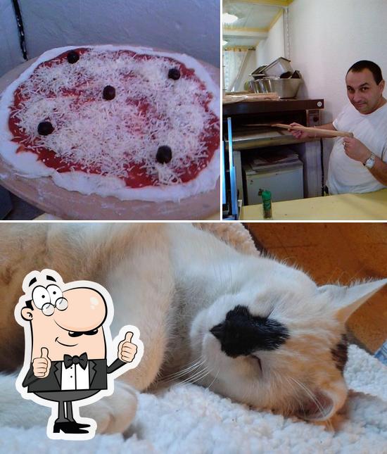 Regarder l'image de Pizzas du Luberon