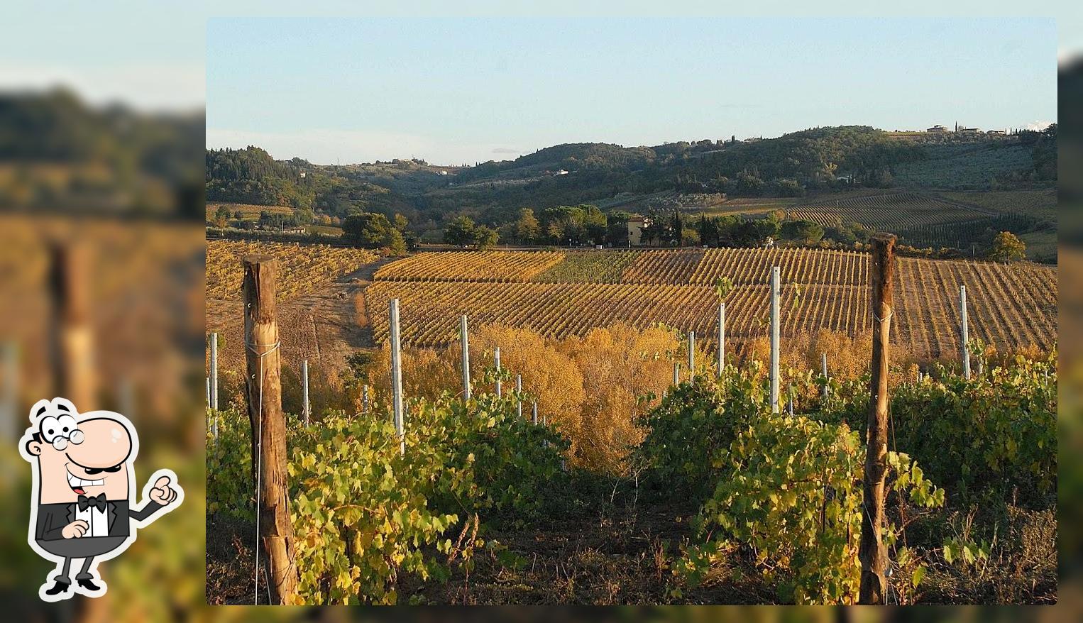 Fattoria De Montefiridolphi