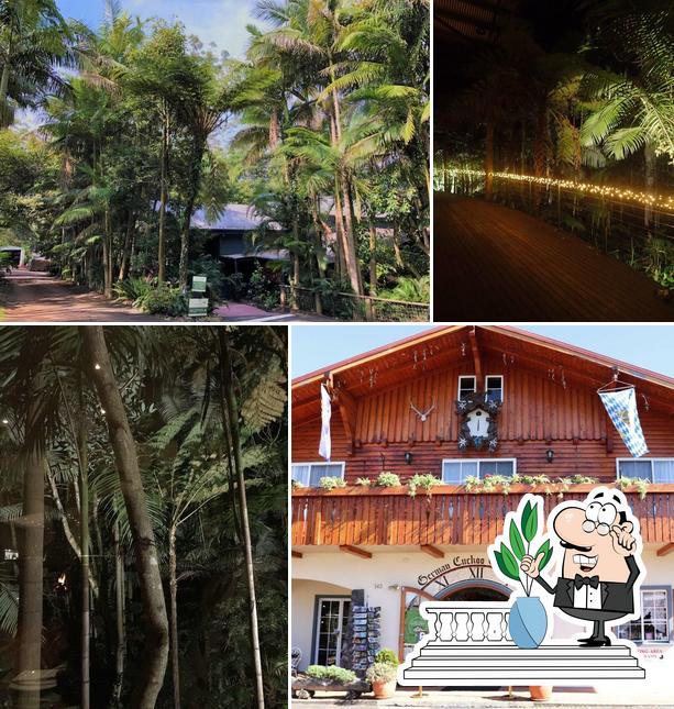 Menu of Restaurant Pethers Rainforest Retreat, Tamborine Mountain