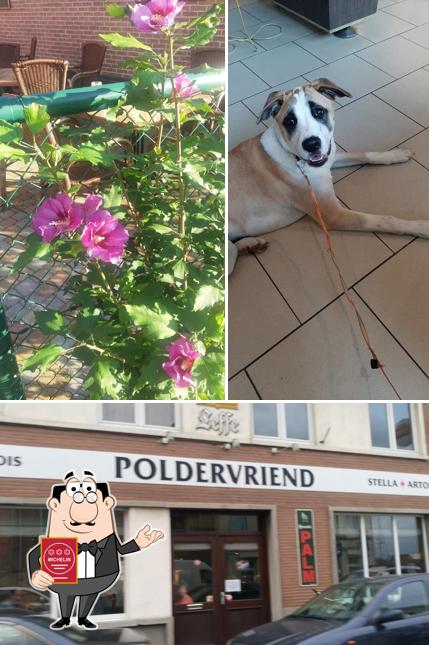 Voir la photo de Café De Poldervriend