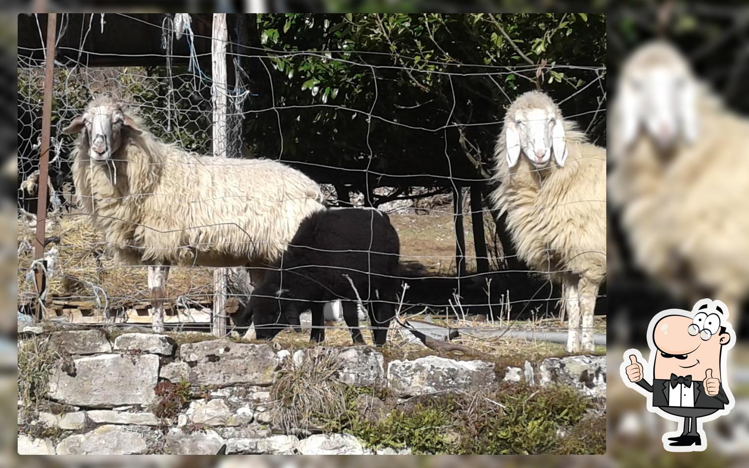 Quattro Ruote foto