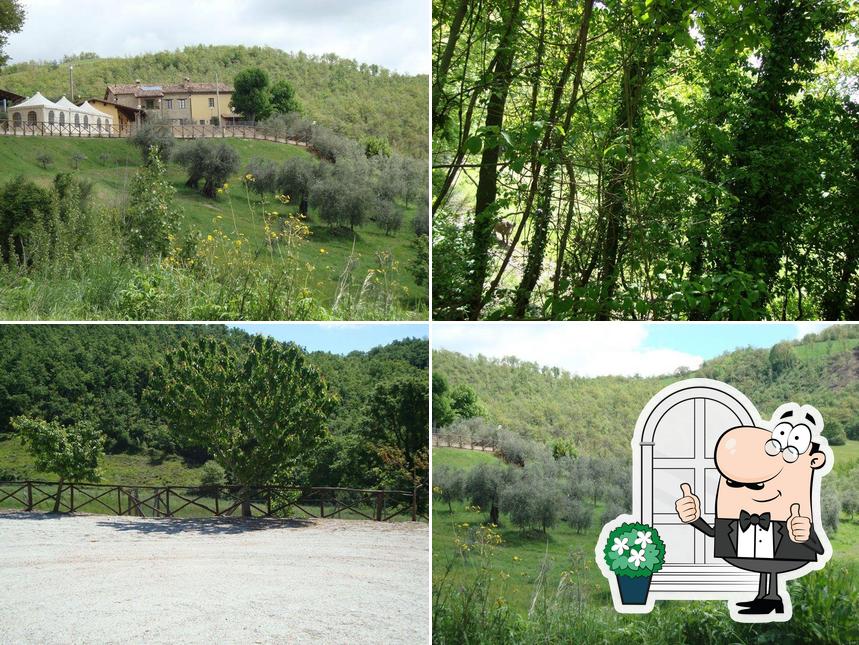 Guarda gli esterni di Agriturismo la valle dei fiori di bellucci rosanna