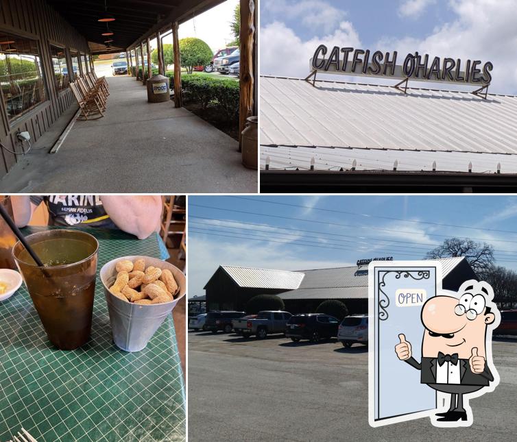 Catfish O'Harlies in Decatur Restaurant menu and reviews