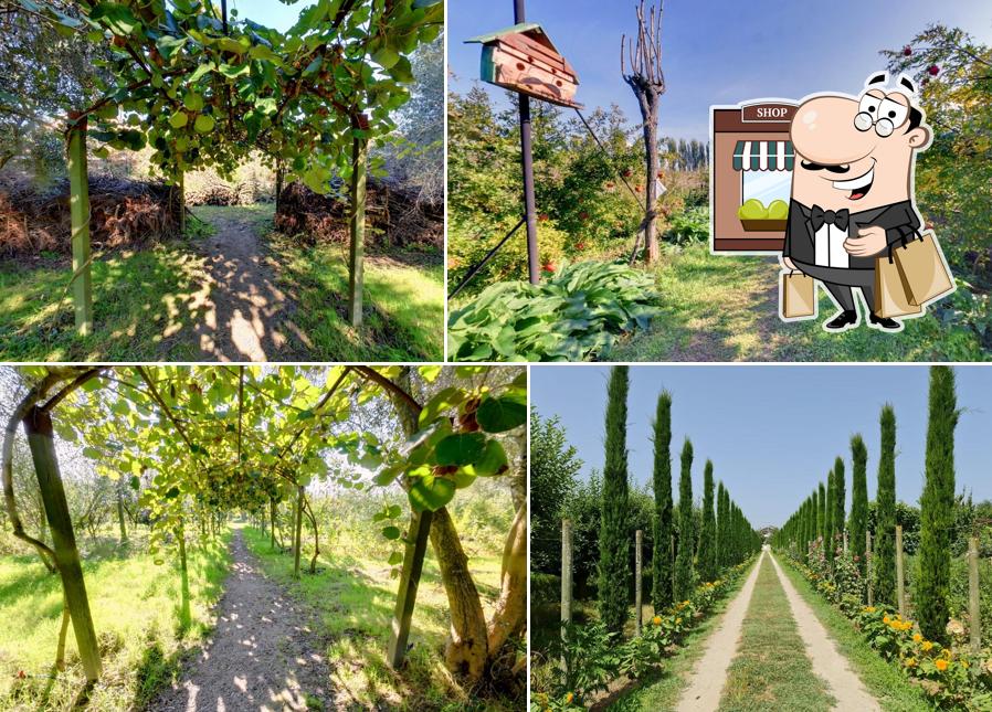 Schnappt frische Luft im Außenbereich von Uka Farm - Traditional Albanian Restaurant & Agrotourism