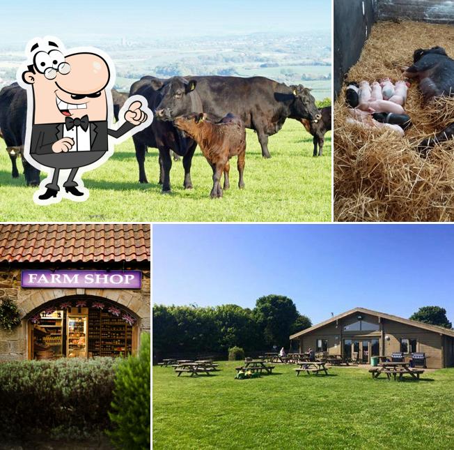 Café Broom House Farm Shop, Burnhope Carta del restaurante y opiniones